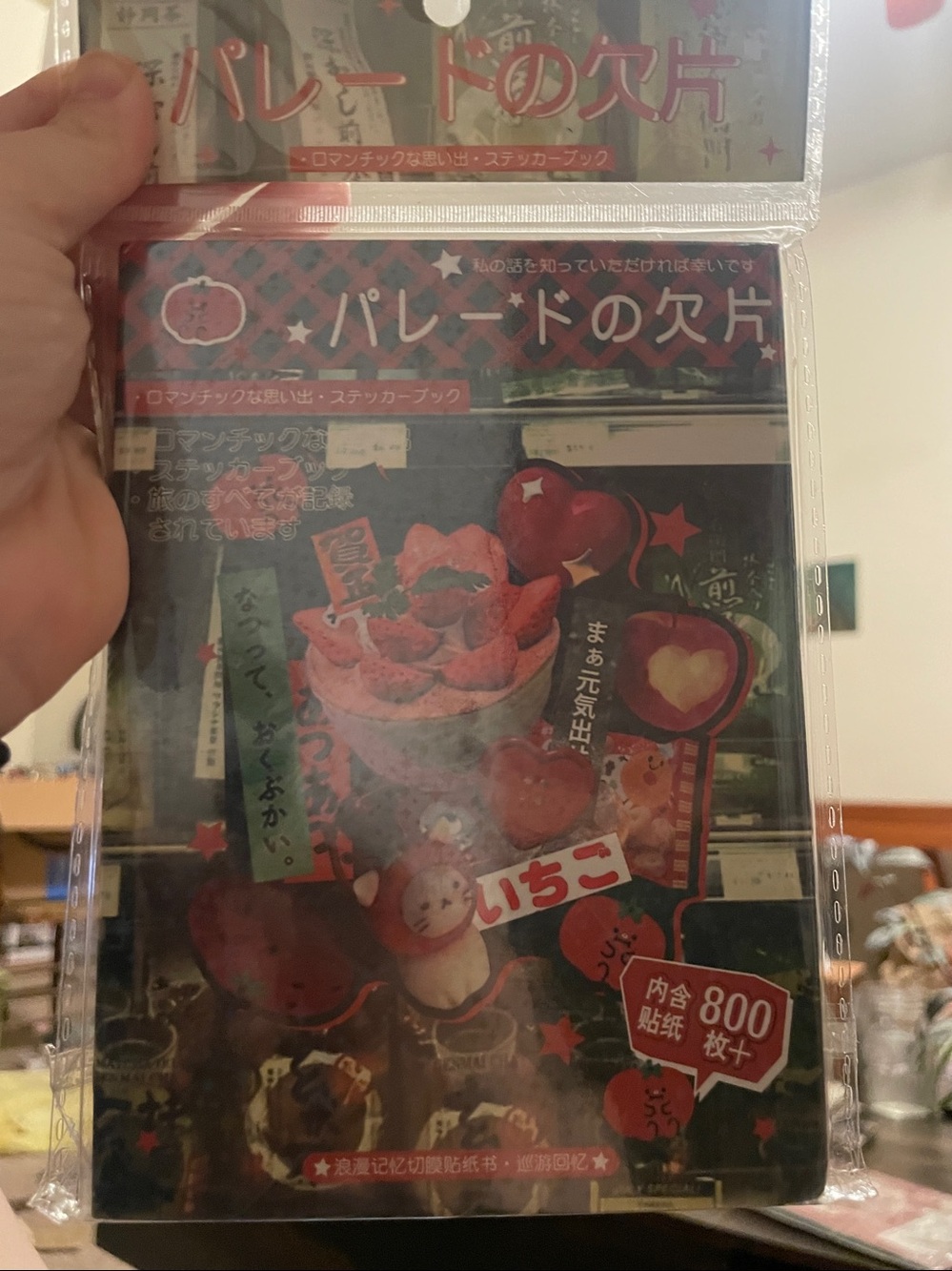 New As Seen on Tik Tok Japanese Magna Style Sticker Book